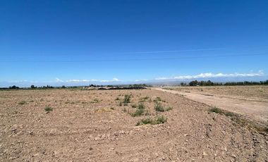 Campo en Venta Ruta 40 Mendoza - Ugarteche