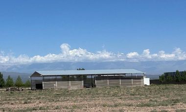 Campo en Venta Ruta 40 Mendoza - Ugarteche