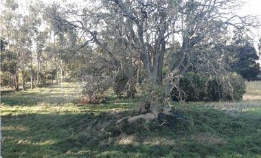 CASA QUINTA 5 HA PILETAS NATAC.GRAN SALON VVDAS 2 APTO TODO DESTINO