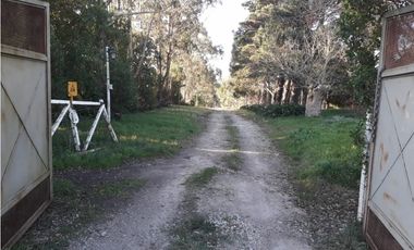 CAMPO 5 HA ARBOLADAS 2 PILETAS NATACION SALON VVDA APTO V DESTINOS