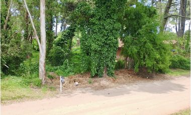 PINAMAR - LOTE SILFIDES