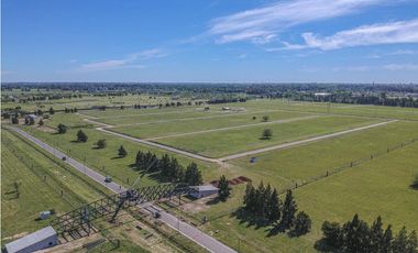 LOS PASOS II - TERRENO