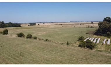 campo de 66,6 has en venta en General Las Heras