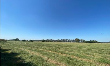 campo de 66,6 has en venta en General Las Heras