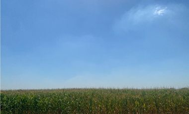 campo de 66,6 has en venta en General Las Heras