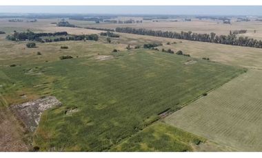campo de 66,6 has en venta en General Las Heras