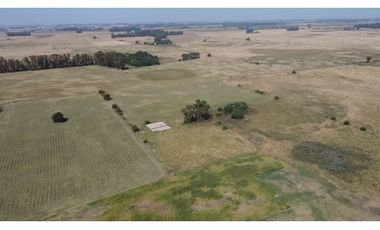 campo de 66,6 has en venta en General Las Heras