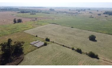 campo de 66,6 has en venta en General Las Heras