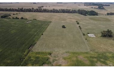 campo de 66,6 has en venta en General Las Heras