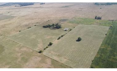 campo de 66,6 has en venta en General Las Heras