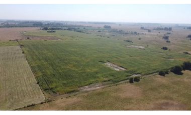 campo de 66,6 has en venta en General Las Heras