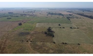 campo de 66,6 has en venta en General Las Heras
