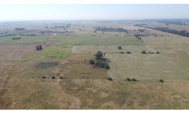 campo de 66,6 has en venta en General Las Heras