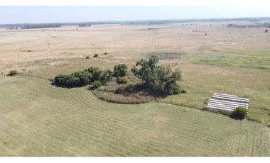 campo de 66,6 has en venta en General Las Heras