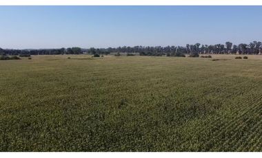 campo de 66,6 has en venta en General Las Heras