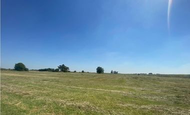 campo de 66,6 has en venta en General Las Heras