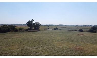 campo de 66,6 has en venta en General Las Heras