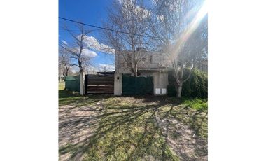 Torcazas - Fisherton