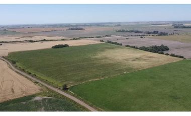campo de 29 has agricolas en Venta en Villa Ruiz