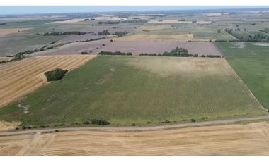 campo de 29 has agricolas en Venta en Villa Ruiz