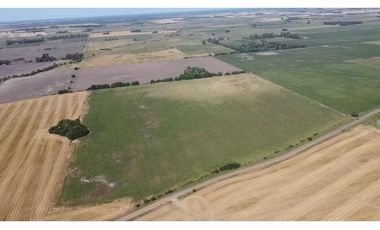 campo de 29 has agricolas en Venta en Villa Ruiz