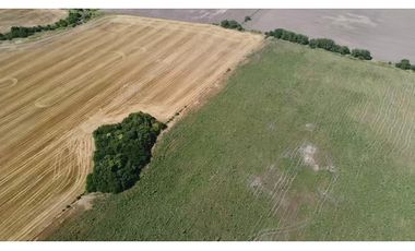 campo de 29 has agricolas en Venta en Villa Ruiz