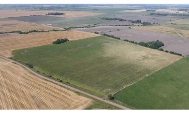campo de 29 has agricolas en Venta en Villa Ruiz