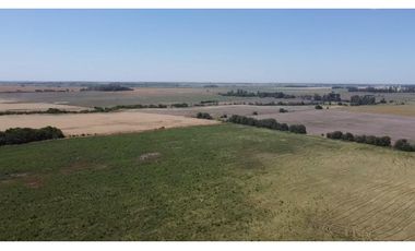 campo de 29 has agricolas en Venta en Villa Ruiz