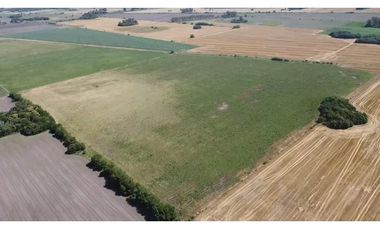 campo de 29 has agricolas en Venta en Villa Ruiz