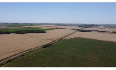 campo de 29 has agricolas en Venta en Villa Ruiz