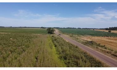 campo de 29 has agricolas en Venta en Villa Ruiz