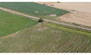 campo de 29 has agricolas en Venta en Villa Ruiz