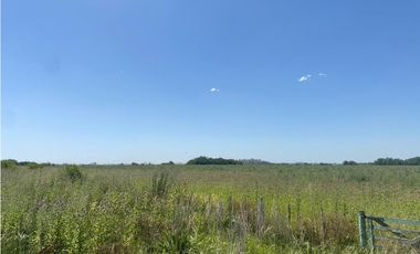 campo de 29 has agricolas en Venta en Villa Ruiz
