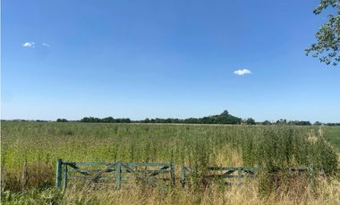 campo de 29 has agricolas en Venta en Villa Ruiz