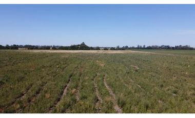 campo de 29 has agricolas en Venta en Villa Ruiz
