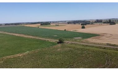 campo de 29 has agricolas en Venta en Villa Ruiz