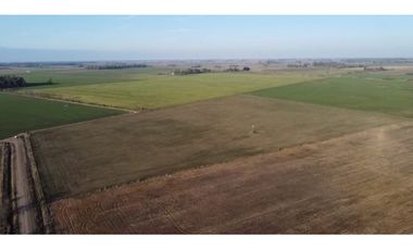 Campo de 16 has en venta en Villa Ruiz