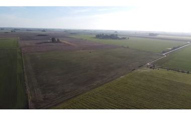 Campo de 16 has en venta en Villa Ruiz