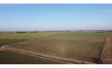 Campo de 16 has en venta en Villa Ruiz