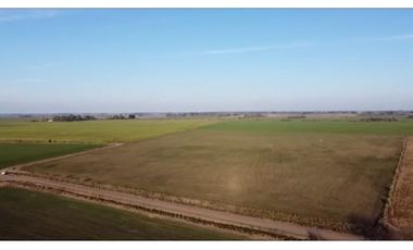 Campo de 16 has en venta en Villa Ruiz