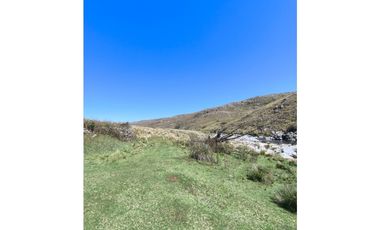 Campo Río de Los Sauces