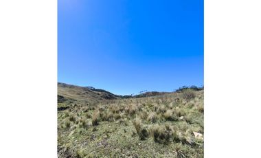 Campo Río de Los Sauces