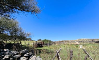Campo Río de Los Sauces