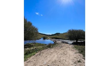 Campo Río de Los Sauces