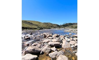 Campo Río de Los Sauces