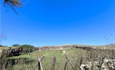 Campo Río de Los Sauces