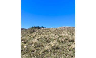 Campo Río de Los Sauces