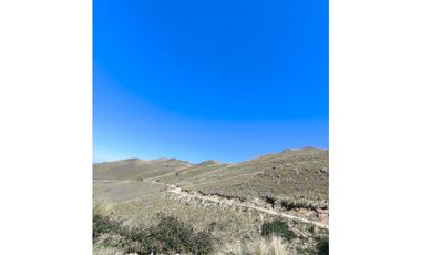 Campo Río de Los Sauces