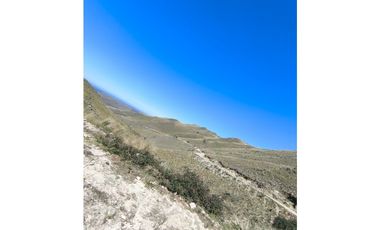 Campo Río de Los Sauces
