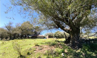 Campo Río de Los Sauces